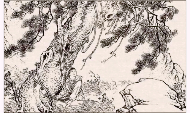 民间故事：女子每晚做梦被蛇缠绕，到尼姑庵求解，老尼：姻缘动了