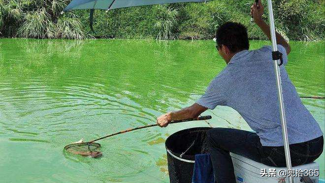 钓鱼也疯狂!女子第一次垂钓遭遇奇葩经历,网友:拍段子也信?