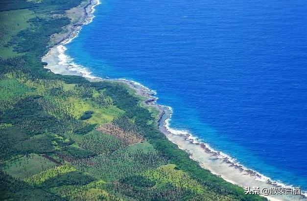 汤加能娶几个老婆?你想知道的20个汤加的冷知识,走进真实的汤加