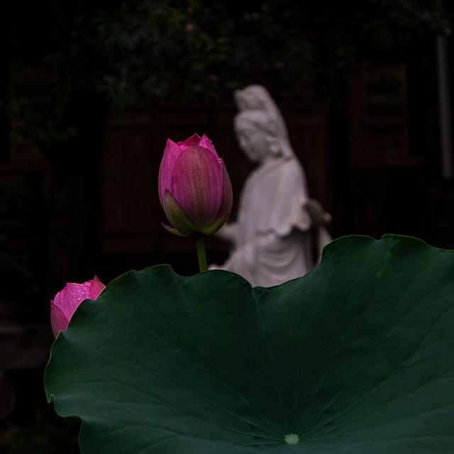 已婚女性注意，“儿子”特征明显的已婚男性，具有喜欢同性的取向