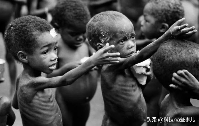 非洲人连饭都吃不饱,为啥不种水稻玉米,反而想着种芝麻?