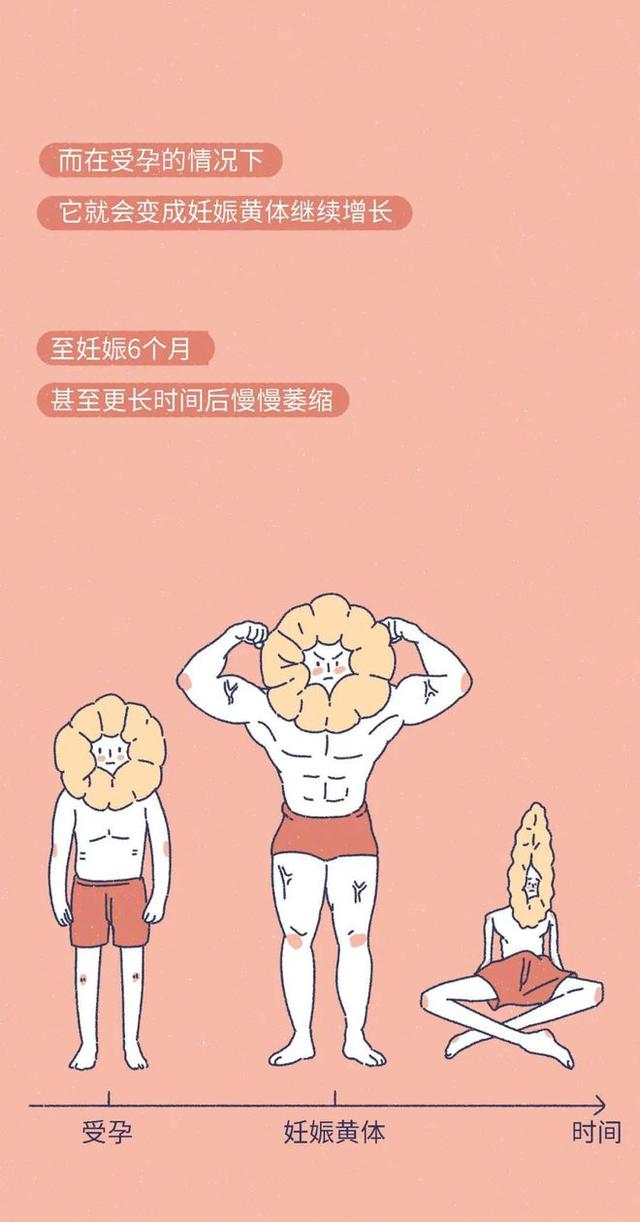 「黄体破裂」有多“可怕”？漫画：其痛苦程度，或许让人难以忍受