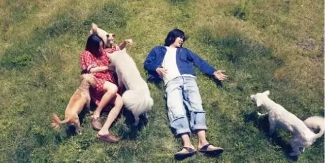 被问怕不怕苍井优出轨答案让她破涕为笑？我知道女神为何嫁他了