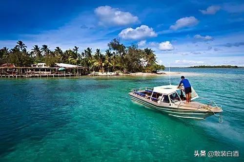 汤加能娶几个老婆?你想知道的20个汤加的冷知识,走进真实的汤加