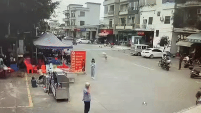 狗绳绊倒老人，谁该担责？律师：狗主人和牵狗人都有责任