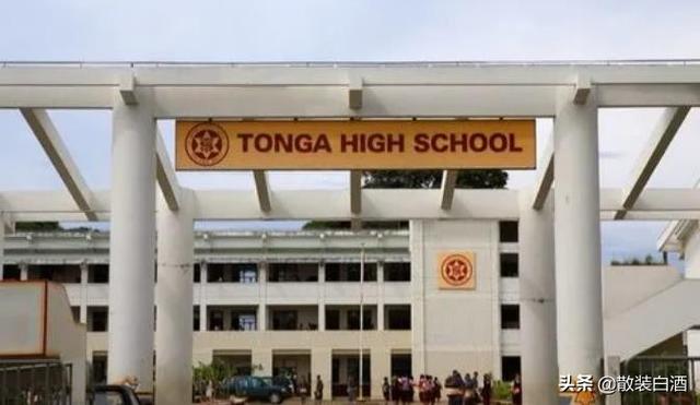 汤加能娶几个老婆?你想知道的20个汤加的冷知识,走进真实的汤加