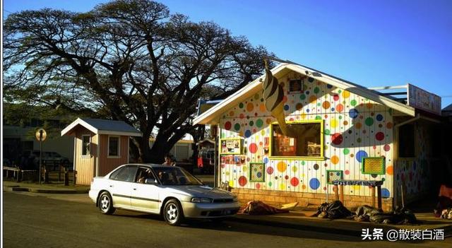 汤加能娶几个老婆?你想知道的20个汤加的冷知识,走进真实的汤加