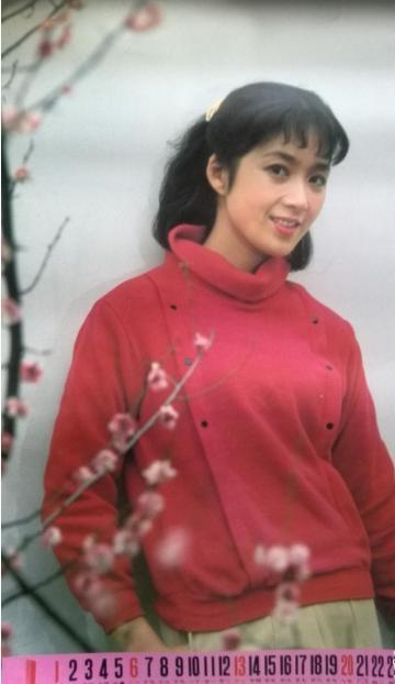 女星纯天然挂历照：刘晓庆孙俪宋丹丹汪明荃那英…巩俐腋毛都没刮