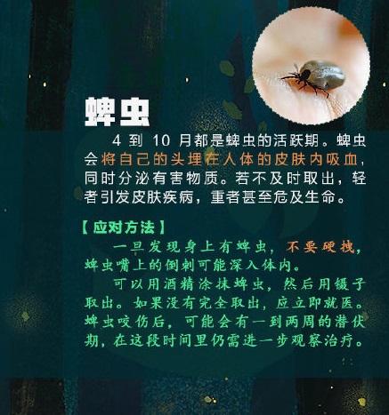 9岁女孩被蜘蛛咬伤随后一幕吓坏家长！春天，这些昆虫也要小心