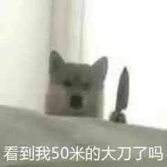 谁能拒绝大冰箱呢？爆火综艺《男生女生向前冲》冲冲冲