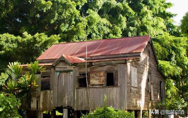 汤加能娶几个老婆?你想知道的20个汤加的冷知识,走进真实的汤加