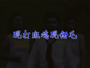 老外在youtube上手贱播放了云南神曲！何止辣眼睛，三观都辣穿了