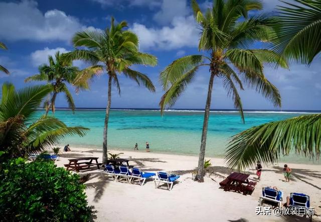 汤加能娶几个老婆?你想知道的20个汤加的冷知识,走进真实的汤加