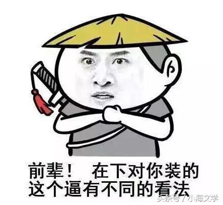 小海精选 这6本网络小说惊险、刺激、带感，单人独剑，傲立世间！