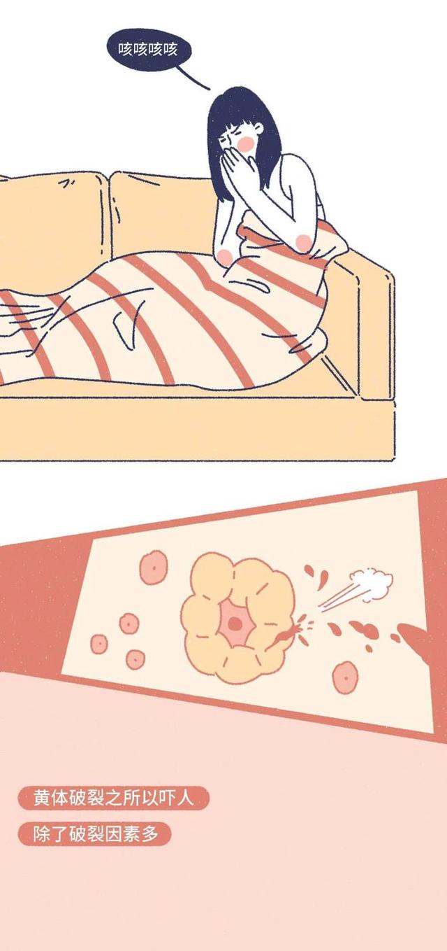 「黄体破裂」有多“可怕”？漫画：其痛苦程度，或许让人难以忍受