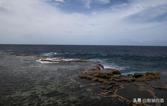 汤加能娶几个老婆?你想知道的20个汤加的冷知识,走进真实的汤加