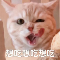和女生日常闲聊话题 再也不用怕不知道聊什么了