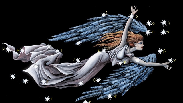 揭秘处女座男女性格，分析最佳星座配对，让你成为情感赢家