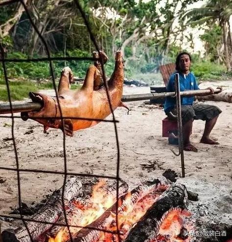 汤加能娶几个老婆?你想知道的20个汤加的冷知识,走进真实的汤加