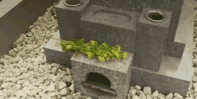 喜欢装柔弱的心机女肆意玩弄同事,怨屋本铺