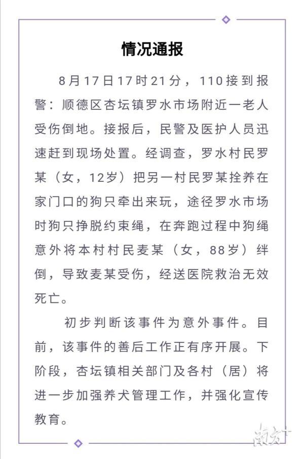 狗绳绊倒老人，谁该担责？律师：狗主人和牵狗人都有责任