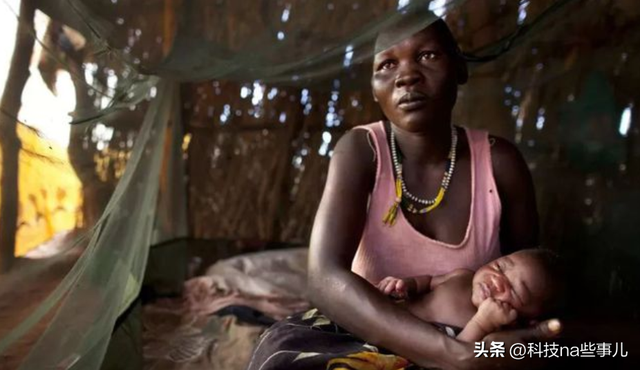 非洲人连饭都吃不饱,为啥不种水稻玉米,反而想着种芝麻?