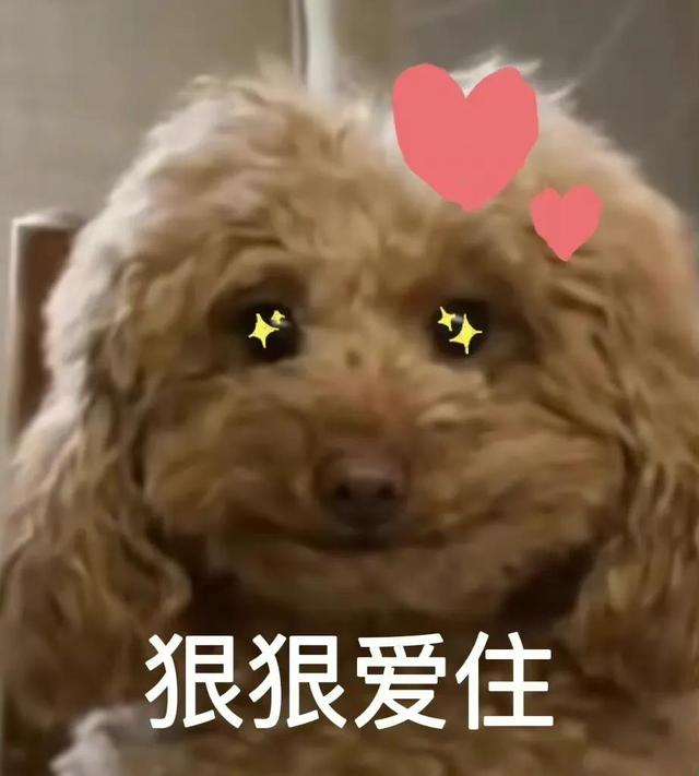 谁能拒绝大冰箱呢？爆火综艺《男生女生向前冲》冲冲冲