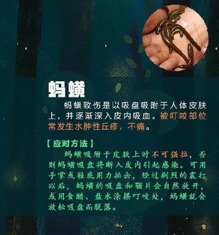 9岁女孩被蜘蛛咬伤随后一幕吓坏家长！春天，这些昆虫也要小心