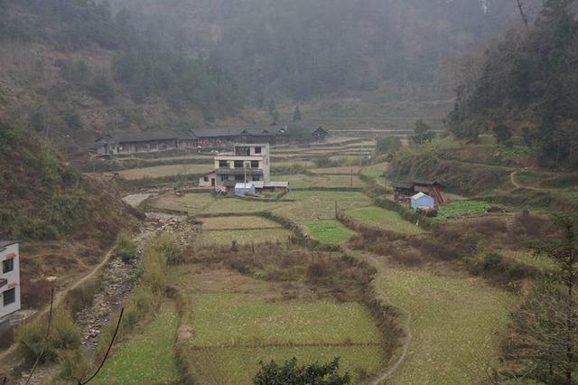 31年前，她因一双“大眼睛”震撼全国，安徽女孩苏明娟现状如何？