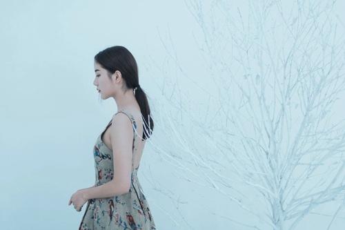 2017新书佳作《我老婆是冰山女总裁》全集免费阅读