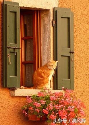 女生QQ心情个性说说！