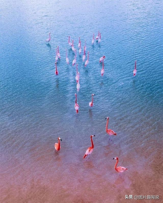 精彩照片看世界：百年前预防手淫的器具，卡扎菲的纯金手枪