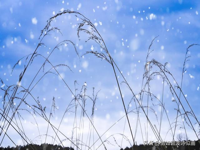 长篇小说：走出桃花村的女人之三十一：癌症晚期