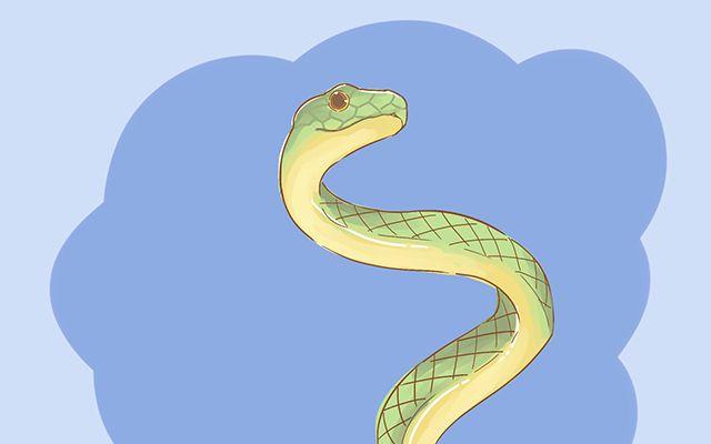 孕期做过这些梦的，她们都说自己喜得千金了，你梦到过吗？