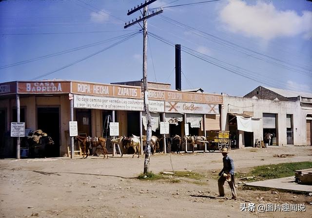 精彩照片看世界：百年前预防手淫的器具，卡扎菲的纯金手枪