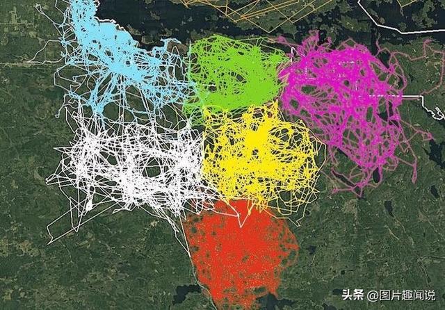 精彩照片看世界：百年前预防手淫的器具，卡扎菲的纯金手枪