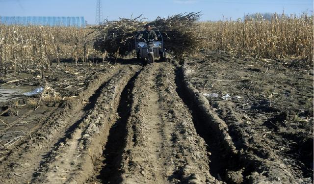 初二女生为活命扎针超25000次，其母亲两年前因病离世，当事人：很想妈妈，未来想当医生