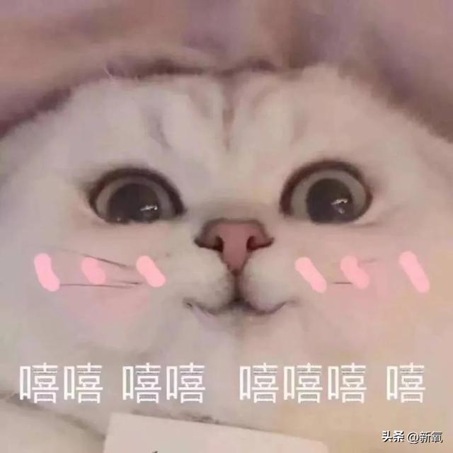 10秒自测唇形，教你如何画出满分美女唇