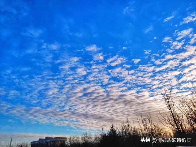 长篇小说：走出桃花村的女人之三十一：癌症晚期