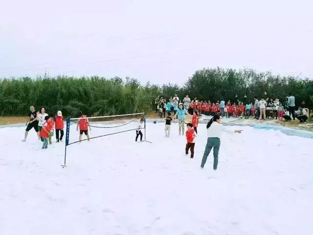 180亩果园，85万改建费，美女庄主第一个月就实现盈利12万