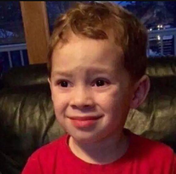 真！看片神器！