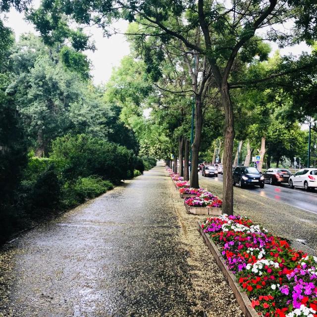 匈牙利美女在雨中赤脚跳起了中国古风爵士舞《桃花旗袍》