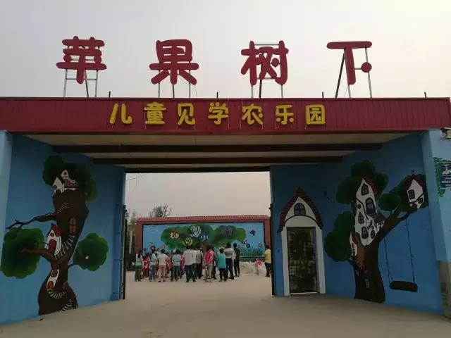 180亩果园，85万改建费，美女庄主第一个月就实现盈利12万