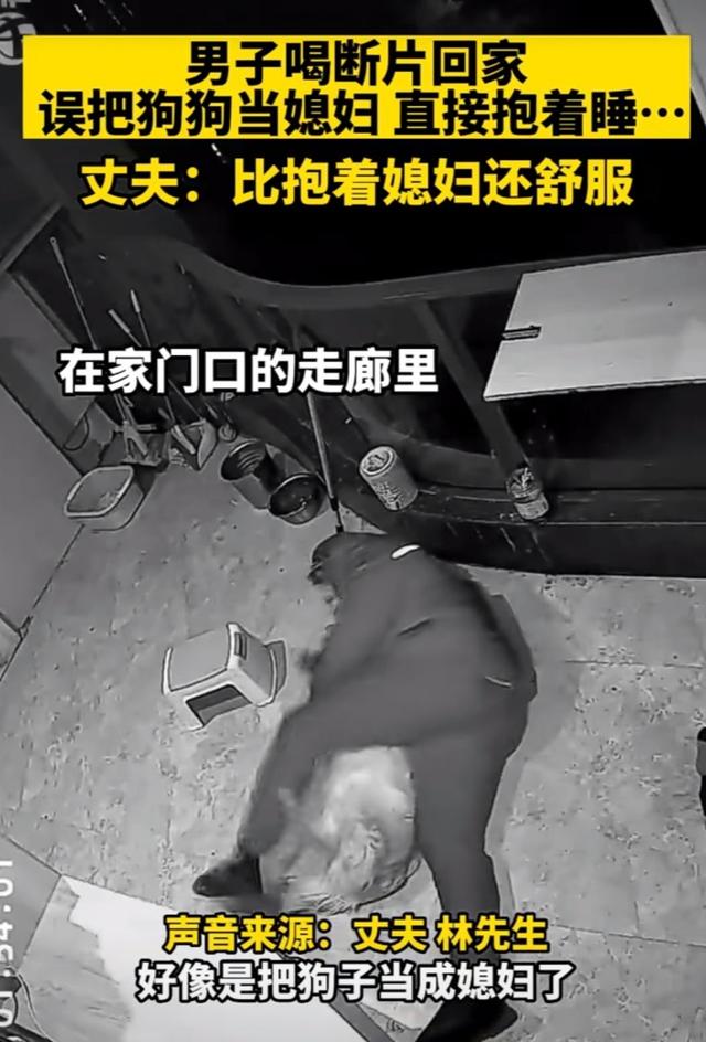 绝了！青田男子喝断片，把狗当老婆抱着睡，还动手动脚