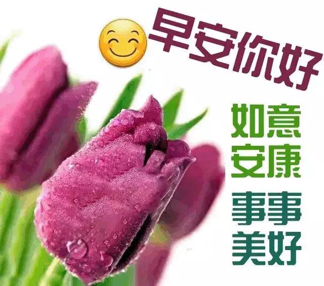 真心地祝愿您，能照顾好自己，一切平安顺利，早安