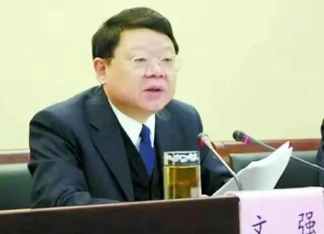 “打黑局长”文强堕落史:强奸女学生,霸占警花10多年,玩弄女星