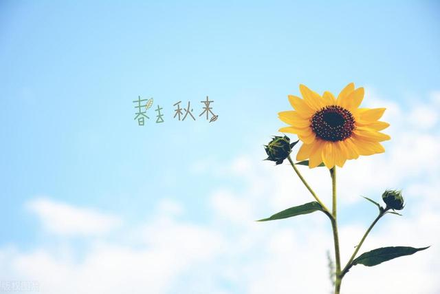 适合社恐女生的5个简单副业，一个人安静挣钱就够了
