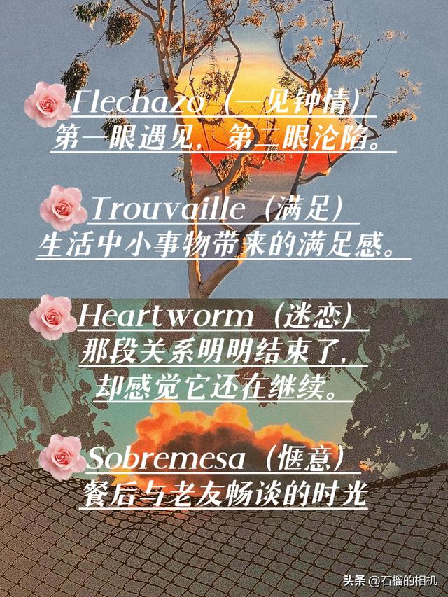 好听小众的英文名字合集#英文名 #好听 #温柔 #有寓意的英文名