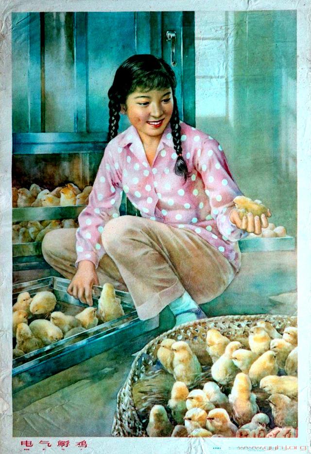 「毛主席时代画卷」农村美女《电气孵小鸡》图（1960年金雪尘画）