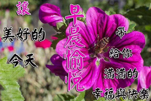 真心地祝愿您，能照顾好自己，一切平安顺利，早安